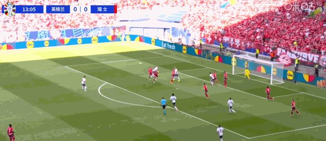 赖斯远射.gif